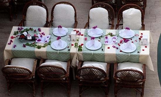 Papaya restorant and apart hotel